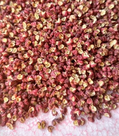 Close-up of red Sichuan peppercorns used for numbing spicy flavour